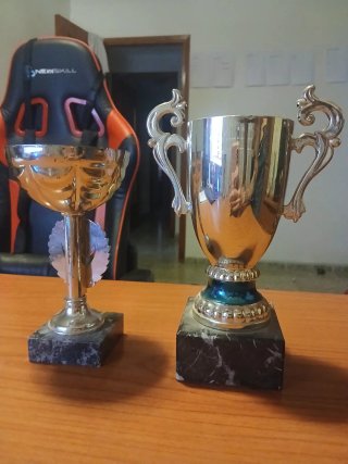 Lote 5 Trofeos Deportivos con Base