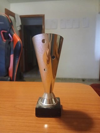 Lote 5 Trofeos Deportivos con Base