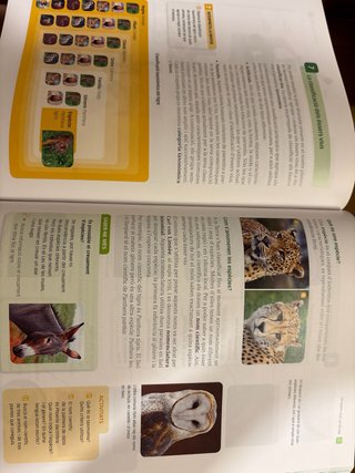 Biologia i Geologia, 1 ESO