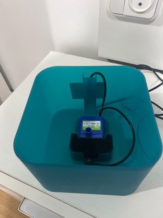 Bebedero para gato con luz LED