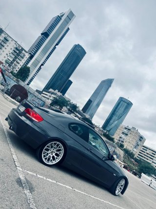BMW Serie 3 2008 SOLO VENTA