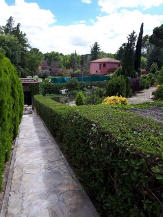 Jardinero profesional todo Madrid corte cesped pod