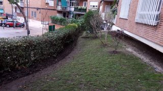 Jardinero profesional todo Madrid corte cesped pod