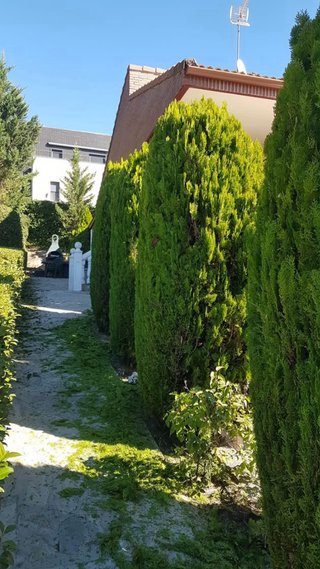 Jardinero profesional todo Madrid corte cesped pod
