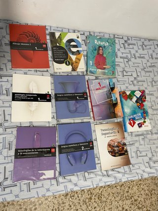 Lote Libros de 1º y 2º de Bachillerato (SM, Anaya.