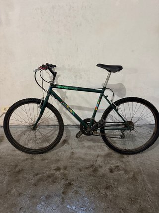 Bicicleta de montaña verde