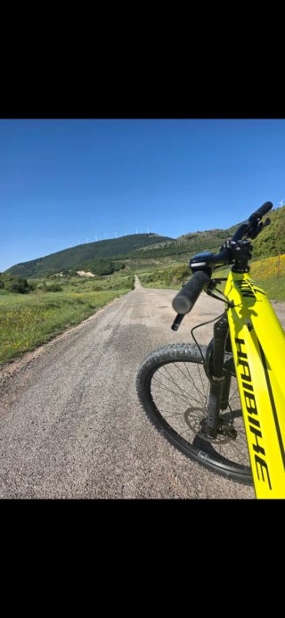 Haibike Allmtn 3 Eléctrica Montaña