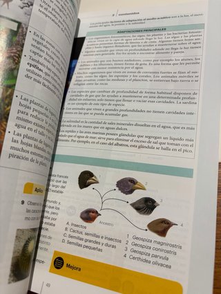 Biología y Geología 1 ESO LOMLOE ANDALUCÍA