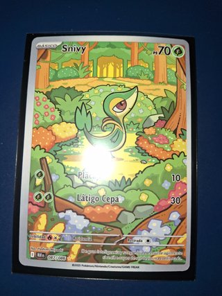 Lotto di Carte Pokémon 30° Anniversario