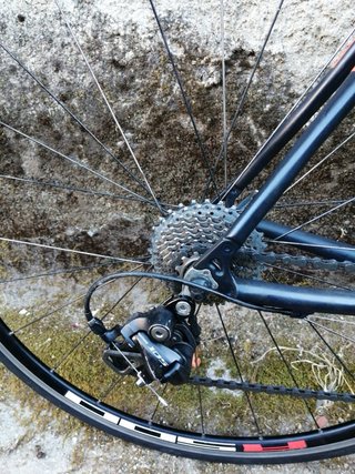 Bicicleta Massi Carbono