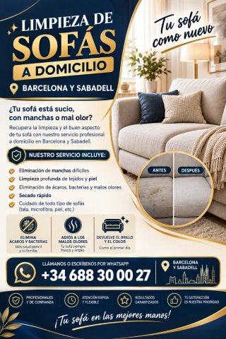 Limpieza de sofa