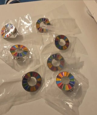 Pins Agenda 2030 (Objetivos Desarrollo Sostenible)