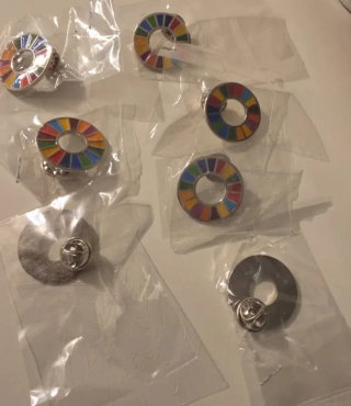 Pins Agenda 2030 (Objetivos Desarrollo Sostenible)