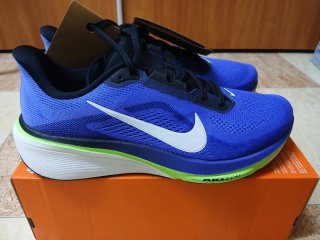 Nike Pegasus 42 Azul y Verde