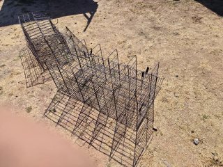 Jaulas para gallinas en perfecto estado