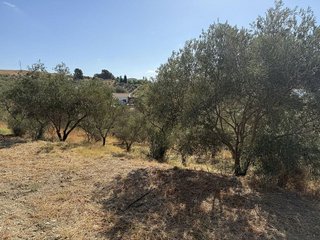 Terreno en venta en Álora