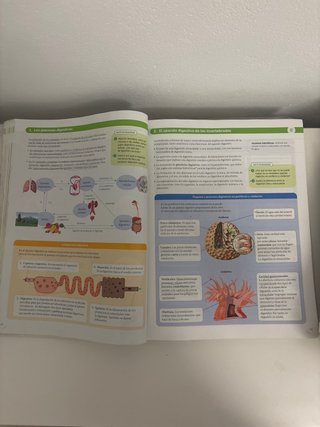 Biología, Geología y Ciencias Ambientales 1 Bac...