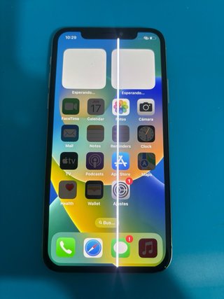 iPhone X Blanco ( leer la descripción)