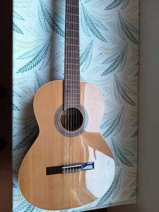Guitarra Española Clásica