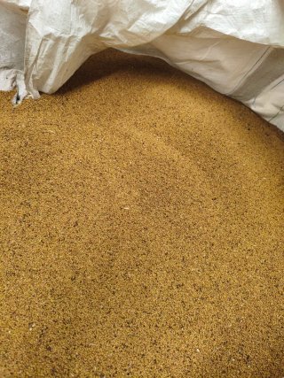 Grana de Alfalfa