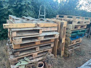 Palets de madera