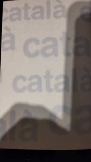 Diccionario Manual Bilingüe VOX Catala -Castellà