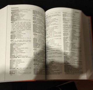 Diccionario Manual Bilingüe VOX Catala -Castellà