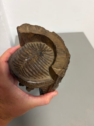 Busto de Cristo tallado en madera