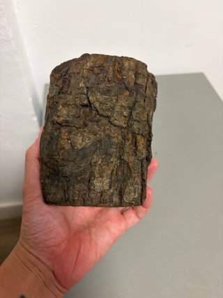 Busto de Cristo tallado en madera