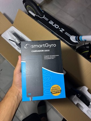 Patinete Eléctrico Smartgyro Z-One
