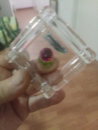Título: Joyero de cristal RCR (Royal Crystal Rock)