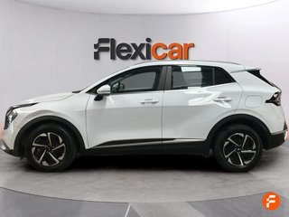 Kia Sportage 1.6 T-GDi HEV 169kW (230CV) Business 4x4
