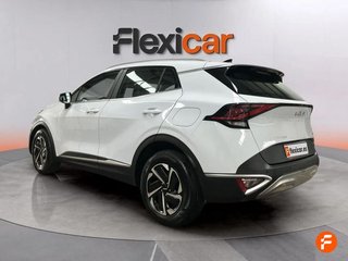 Kia Sportage 1.6 T-GDi HEV 169kW (230CV) Business 4x4