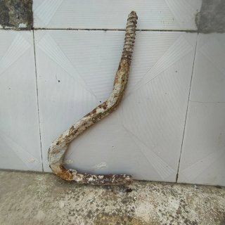 Cancamo gigante de hierro antiguo