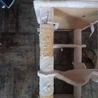 Torre para gatos de varios niveles