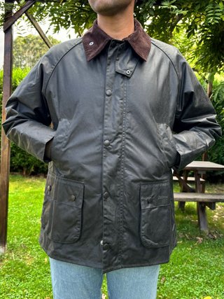 Barbour Bedale color Sage Nueva