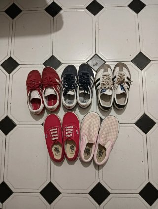 Lote Zapatillas Vans y Adidas