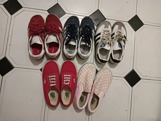 Lote Zapatillas Vans y Adidas