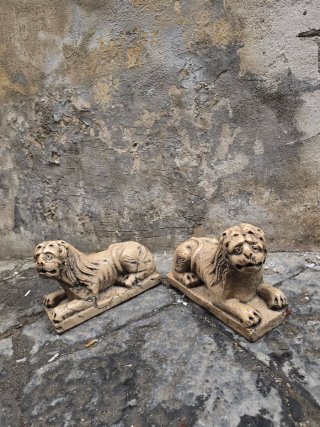 Coppia Leoni in marmo