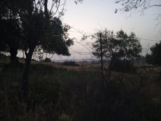 Parcela rustica