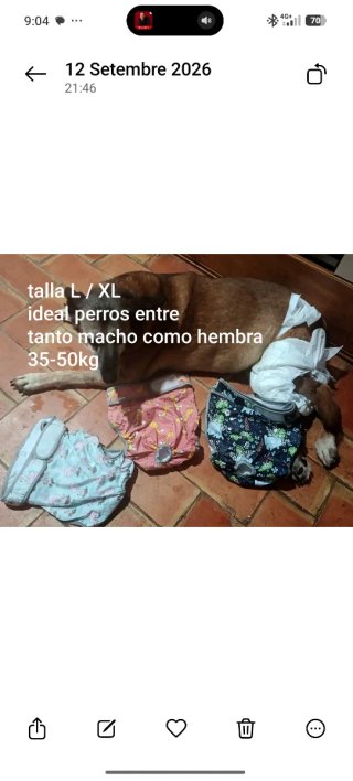 3 Pañales Reutilizables Perro Talla L/XL