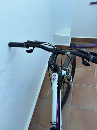 Bicicleta MTB Geometría Mujer