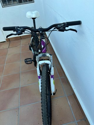 Bicicleta MTB Geometría Mujer