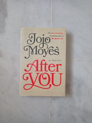 After You A Novel