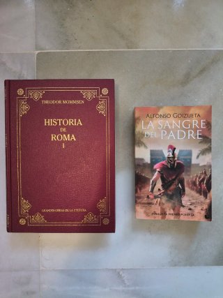 2 libros de historia
