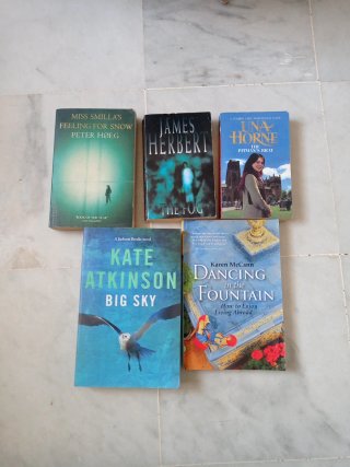 Lote libros ingles. Big Sky