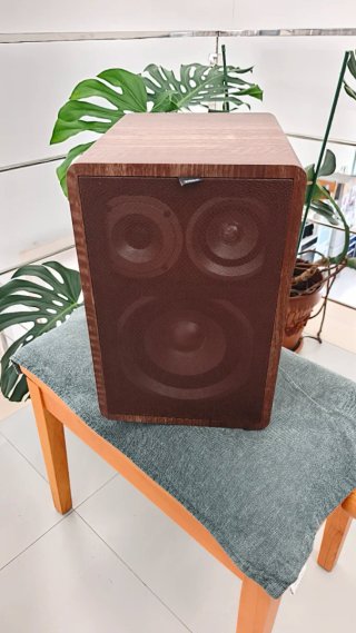 Altavoz Viibo Vintage 6 Marrón