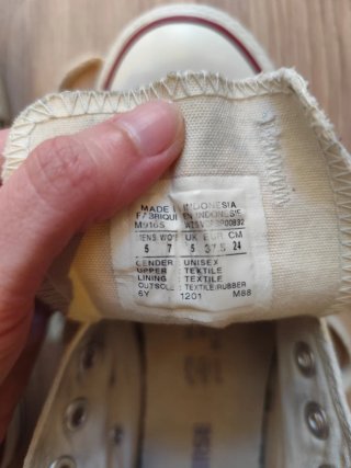 Converse Chuck Taylor Crema