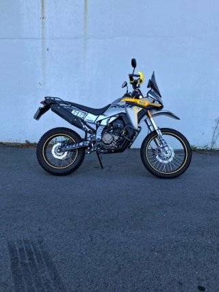 VOGE 300 RALLY Plata/Amarillo