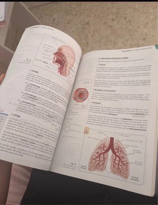 Libro de farmacia, anatomia y patologia basica